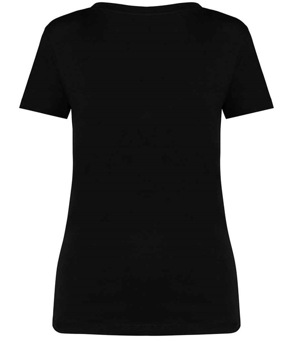 Native Spirit Ladies V Neck T-Shirt